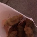 디스동물병원 이미지