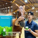 피치인터내셔널