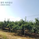 녹지공인중개사사무소 이미지