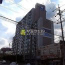 서령로 Daum카페