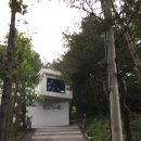 힐링포레스트 이미지