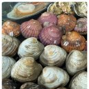 만선민박2 이미지