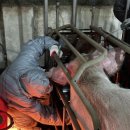 임실농장 이미지