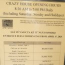 크레이지볼 | 달랏 가볼만한곳 크레이지하우스 가족체험 후기