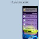 해바유 | 히게단 스타디움 당선 후기~! 얀마, 닛산 양일단이다 이말이약