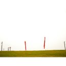 인갤러리 이미지