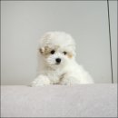 유어라운지 이미지