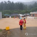 나원3리 이미지