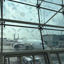 193 | 에미레이트 EK193 비즈니스 후기 (777-300ER) | 두바이→리스본 좌석 배열·기내식 총정리