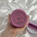 591 | 스탠리 텀블러 퀜처 H2.0 피오니 591ml 내돈내산 후기 (색상 실물, 장단점 총정리)