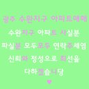 신안골드부동산중개사무소 네이버블로그