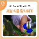 퐁낭(동홍동)작은도서관 이미지