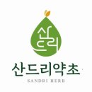 산드리약초