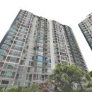 반도보라 이미지