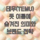 당신의 비즈니스 전략은 무엇입니까 | 테무(TEMU) 뜻 이름에 숨겨진 의미와 브랜드 전략