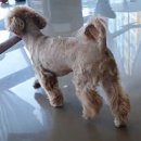 베테랑P&K 이미지