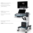 코벤트더웰의원 이미지