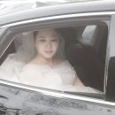 (주)스튜디오게일 | ෆw20ෆ 스티어 스냅(STEA SNAP) 본식후기 / 대전 S가든 / 본식 아이폰 스냅, 디카 서브 스냅 / 대전...