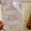 그라체호텔(가평점) | 서울 근교 여행 가평 애견동반 가능한 호텔 추천 그라체호텔 가평점 솔직후기