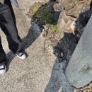 회수동-1 이미지