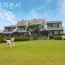 바다가쓴시 - 34157 | 바다가쓴시
