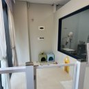 다온그루밍 이미지