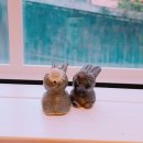 솔체공방 이미지