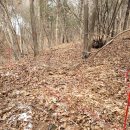 전원오토캠핑장 이미지