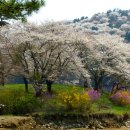 희원 이미지