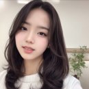 헤어 팡 네이버블로그