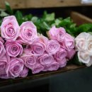 케이에스스포츠(KS스포츠) 이미지