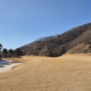 노스팜CC 티스토리