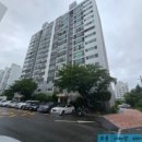 하단동167 이미지