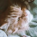 행복한 순간 이미지