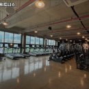 프리덤휘트니스 이미지