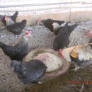 현인농장 이미지