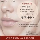 비비메디컬 네이버블로그