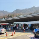 점봉산산채산나물천국 이미지