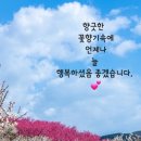 봄날은간다 ㅡ주 현미 노래ㅡ2024년 광양 매화축제 영상 입니다ㅡ 섬진강 매화꽃은 보셨는지요ㅡ김 용택 영상글 입니다ㅡ 이미지