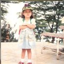 선화 이미지