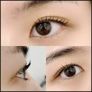 리얼라이즈 | 대구 속눈썹 리얼라이즈 듀얼 펌 후기 대구 북구 속눈썹 펌 잘하는 곳