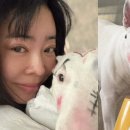 구로종합동물병원 이미지