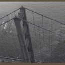 나의 단짝 반려동물 이미지