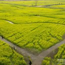 대저생태공원 이미지