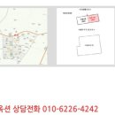 안중초롱길 이미지