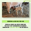 조이축산