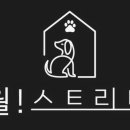 참좋은애견미용실 이미지