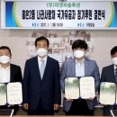 나라솔루션 이미지