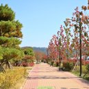 아라길(가야시장) 이미지