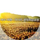 소라면 가사리 이미지